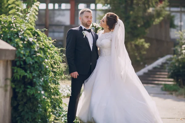 Giorno del matrimonio HD — Foto Stock