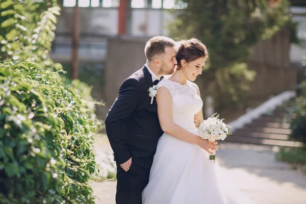 Wedding day HD — Stock Photo, Image