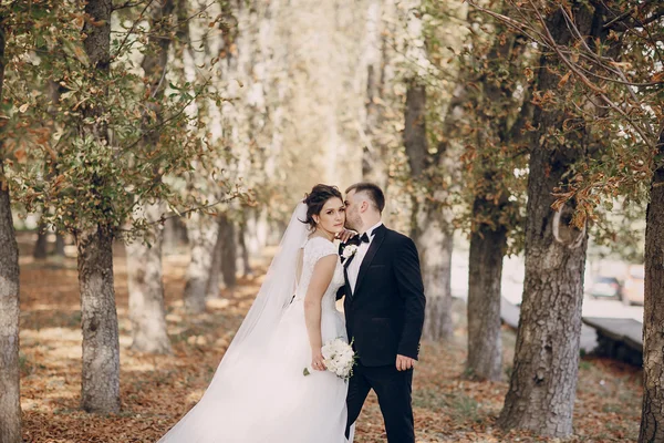 Hochzeitstag — Stockfoto