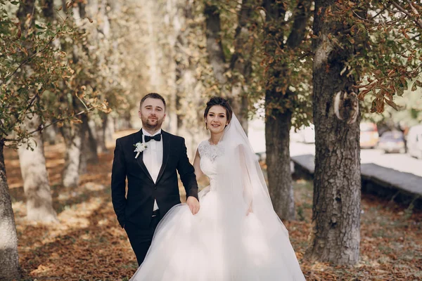 Día de la boda HD — Foto de Stock