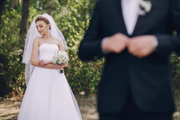 Día de la boda HD —  Fotos de Stock