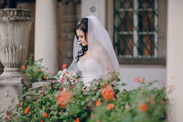 Día de la boda HD — Foto de Stock