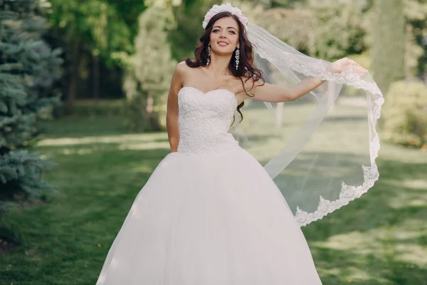 Mágico día de la boda festiva — Foto de Stock