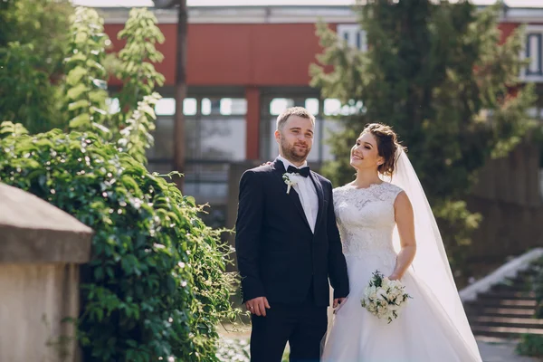 結婚式の日の Hd — ストック写真