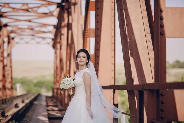 Giorno del matrimonio HD — Foto Stock