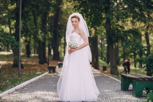 Wedding day HD — Stock Photo, Image