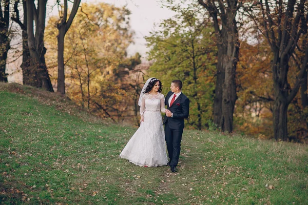 Wonderful wedding day — Stock Photo, Image