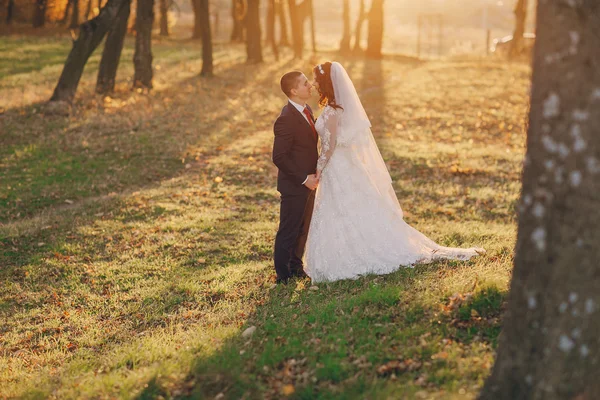 素敵な結婚式の日 — ストック写真