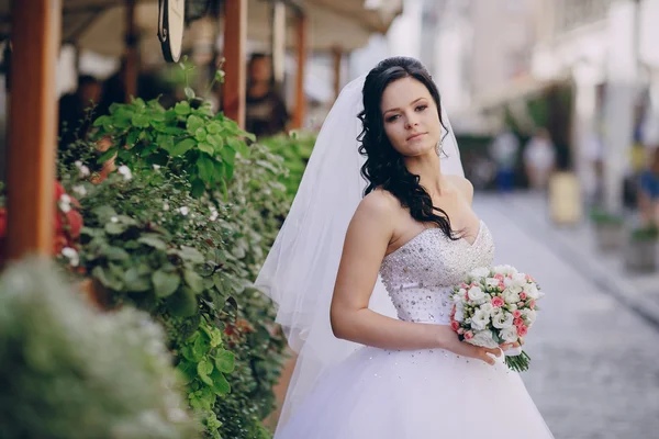 Wedding day HD — Stock Photo, Image