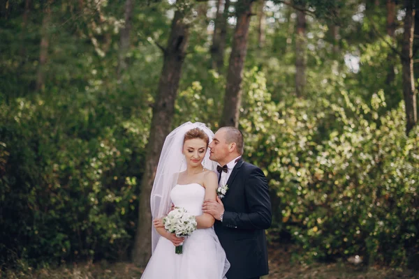 Dia do casamento hd — Fotografia de Stock