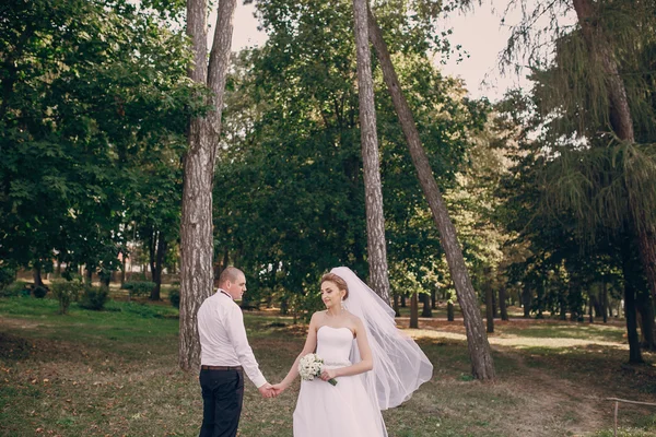 Dia do casamento hd — Fotografia de Stock