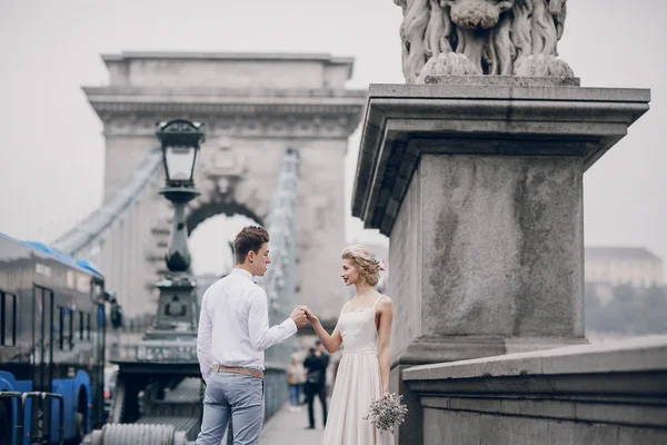 Wedding day in Budapest — Stock Photo, Image