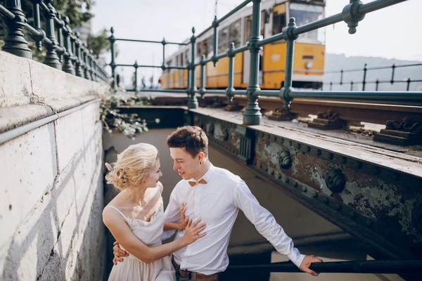 Wedding day in Budapest — Stock Photo, Image