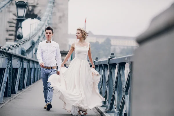 Bryllupsdagen i Budapest – stockfoto