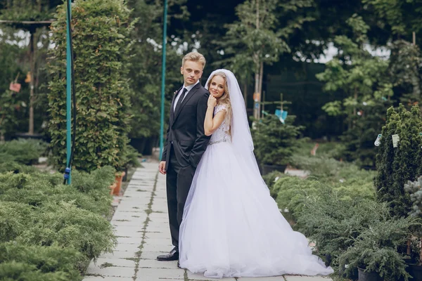 Wedding day in odessa — Stock Photo, Image