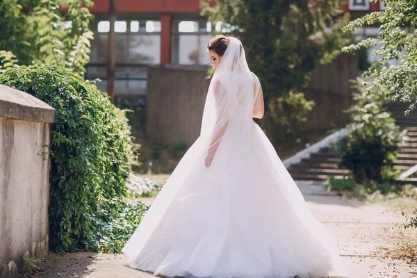 Día de la boda HD — Foto de Stock