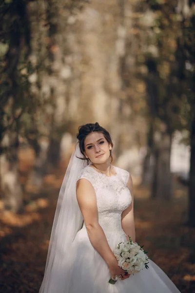 Giorno del matrimonio HD — Foto Stock