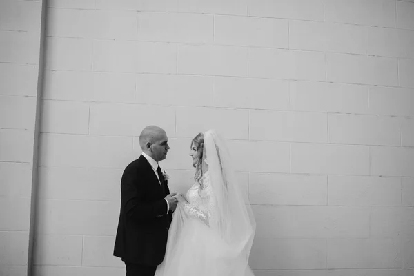 Wedding day HD — Stock Photo, Image