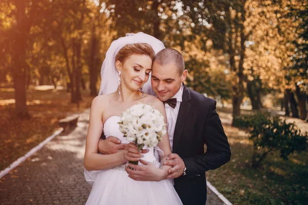 Dia do casamento hd — Fotografia de Stock