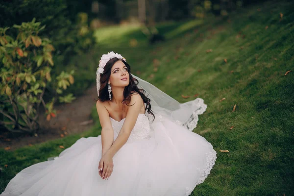 Magischer festlicher Hochzeitstag — Stockfoto