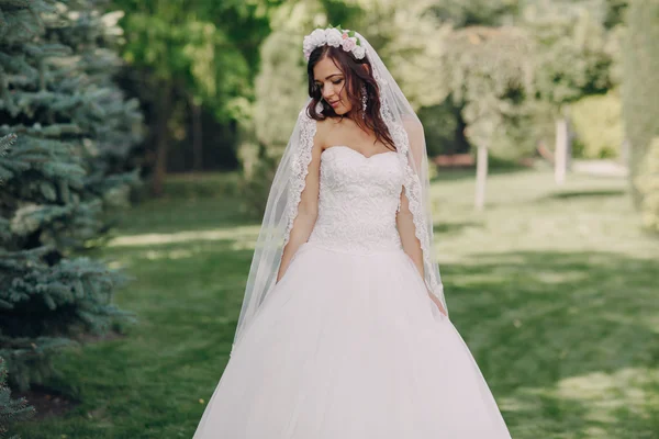 Mágico día de la boda festiva — Foto de Stock