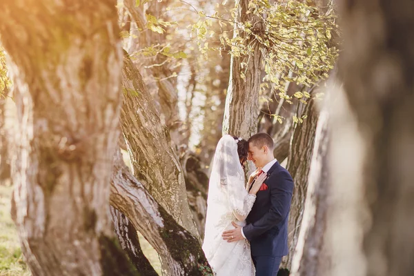 素敵な結婚式の日 — ストック写真