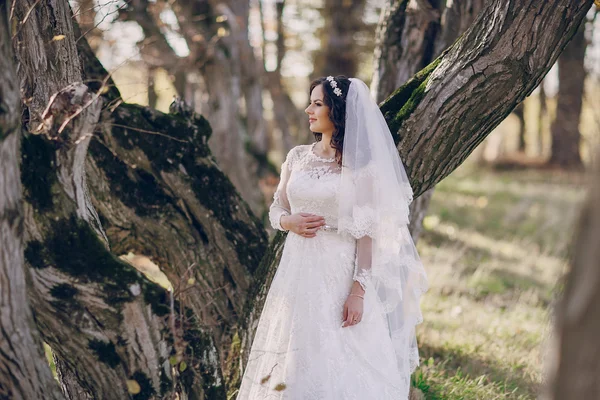 Wunderbarer Hochzeitstag — Stockfoto