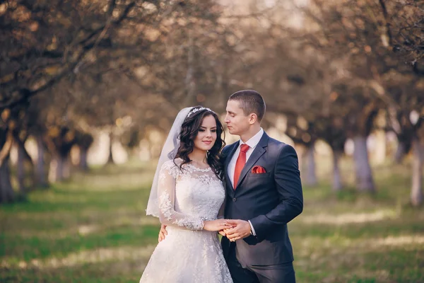 Wunderbarer Hochzeitstag — Stockfoto