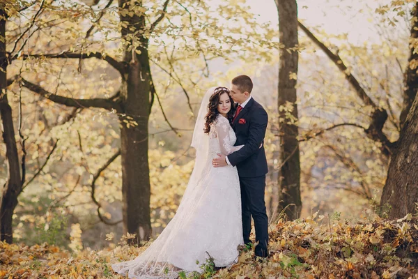 Meraviglioso giorno del matrimonio — Foto Stock