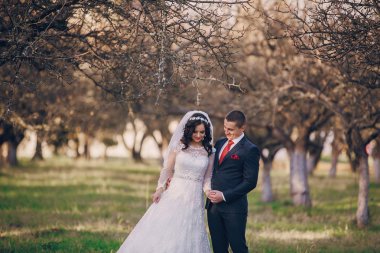 Harika düğün günü