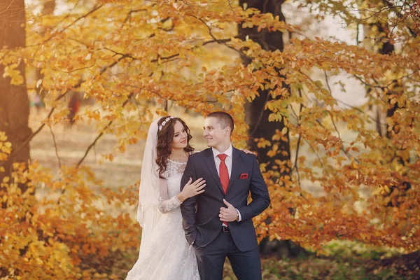 Meraviglioso giorno del matrimonio — Foto Stock