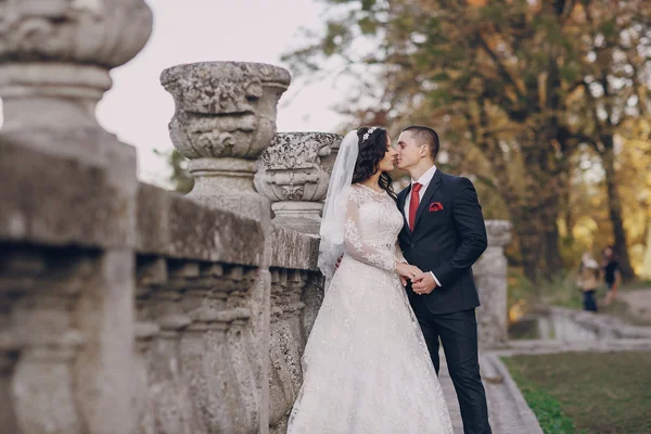 Meraviglioso giorno del matrimonio — Foto Stock