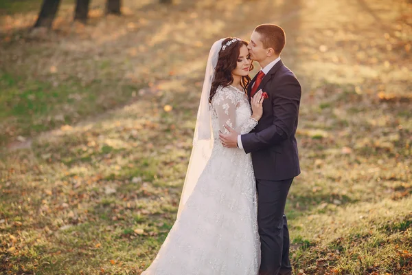 Meraviglioso giorno del matrimonio — Foto Stock