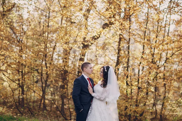 Meraviglioso giorno del matrimonio — Foto Stock