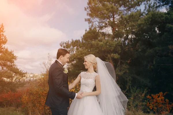 Día de la boda HD — Foto de Stock