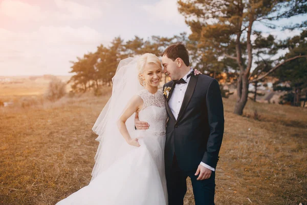 Día de la boda HD — Foto de Stock