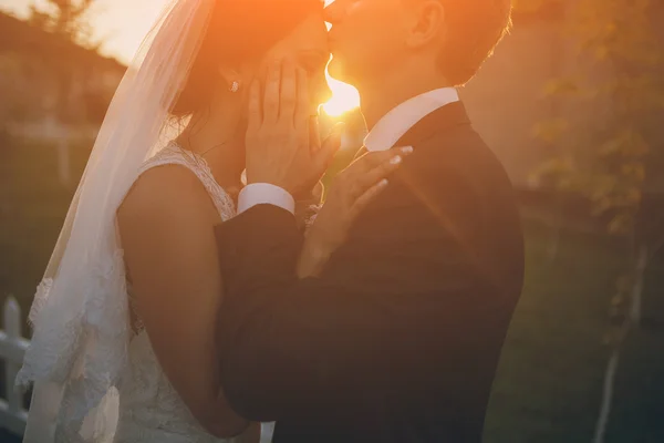 Día de la boda HD — Foto de Stock