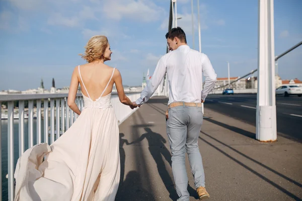 Wedding day in Budapest — Stock Photo, Image