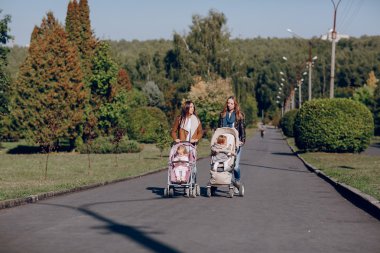 Aile parkta yürüyor.