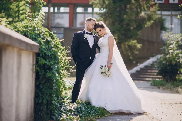 Hochzeitstag — Stockfoto