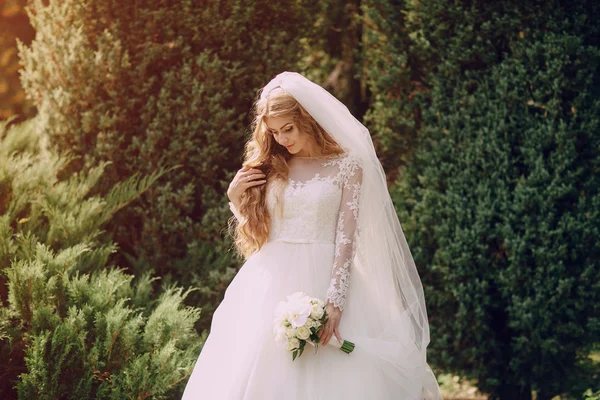 Día de la boda HD — Foto de Stock