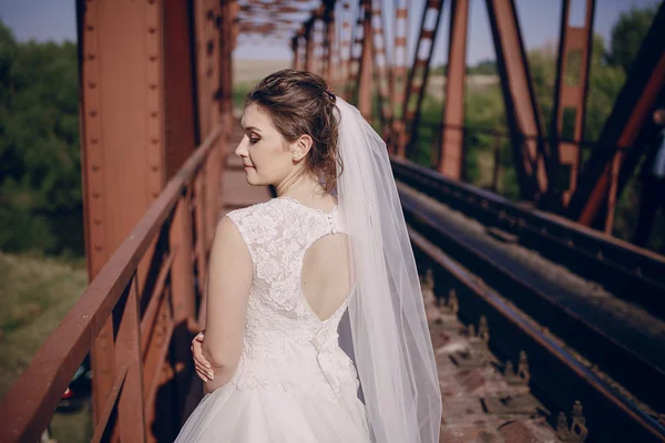 Día de la boda HD — Foto de Stock