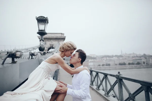 Giorno del matrimonio a Budapest — Foto Stock