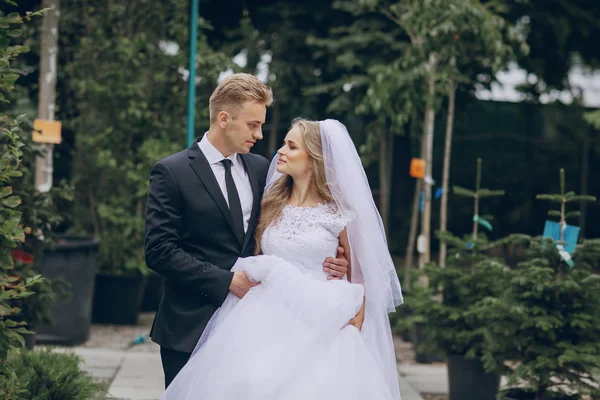 Jour de mariage à odessa — Photo