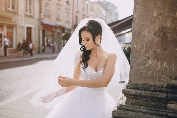 Dia do casamento hd — Fotografia de Stock