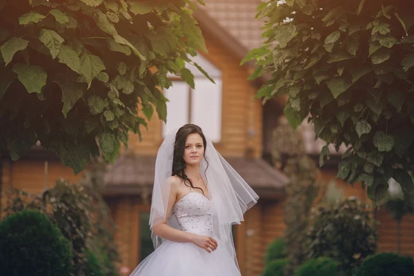 Hochzeitstag — Stockfoto