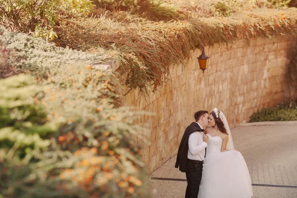 Día de la boda HD — Foto de Stock