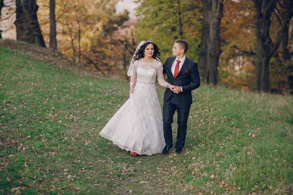 Meraviglioso giorno del matrimonio — Foto Stock