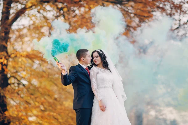 Wonderful wedding day — Stock Photo, Image