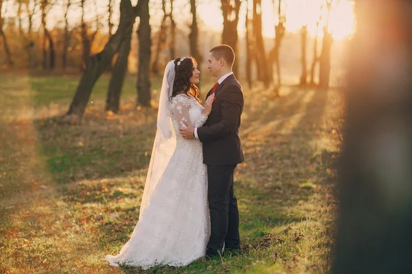 Весілля прекрасний день — стокове фото